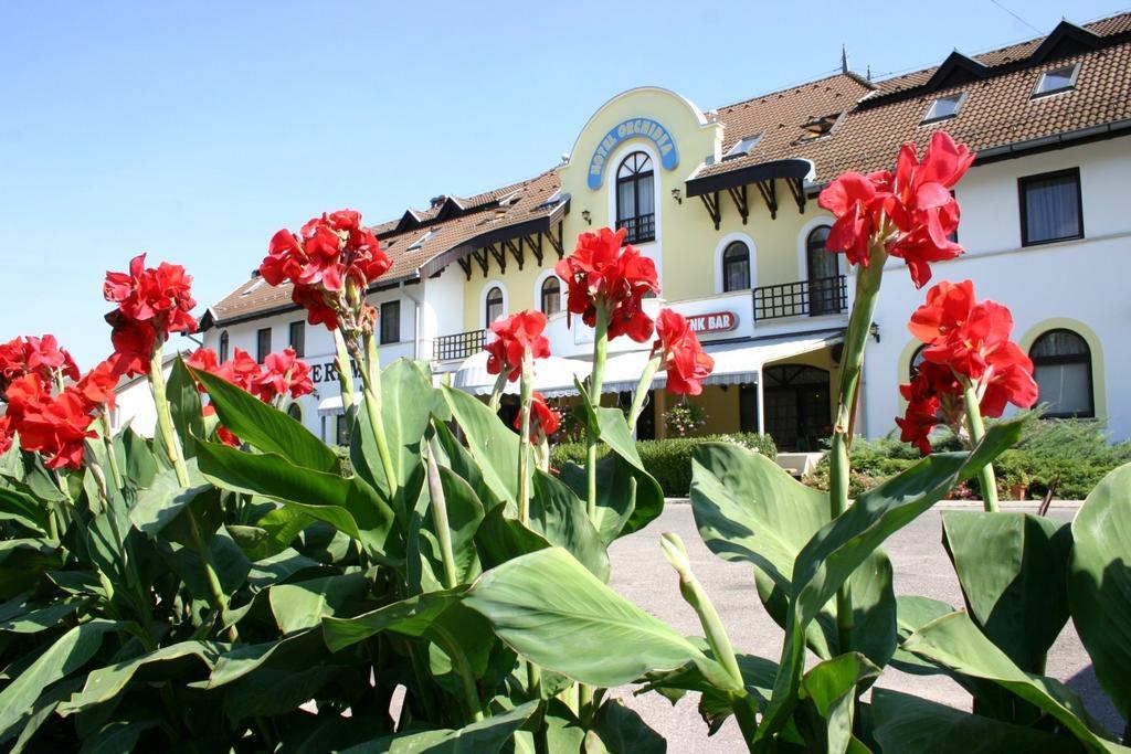 Hotel Orchidea Balastya ภายนอก รูปภาพ