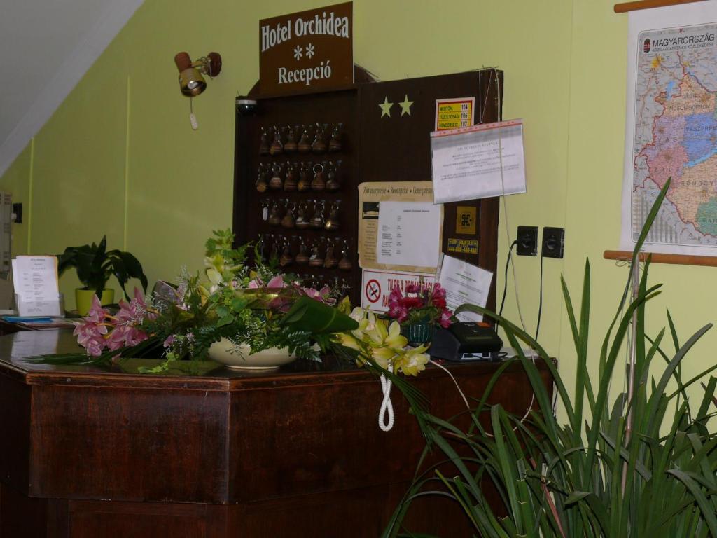 Hotel Orchidea Balastya ภายนอก รูปภาพ