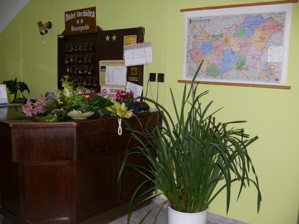 Hotel Orchidea Balastya ภายนอก รูปภาพ